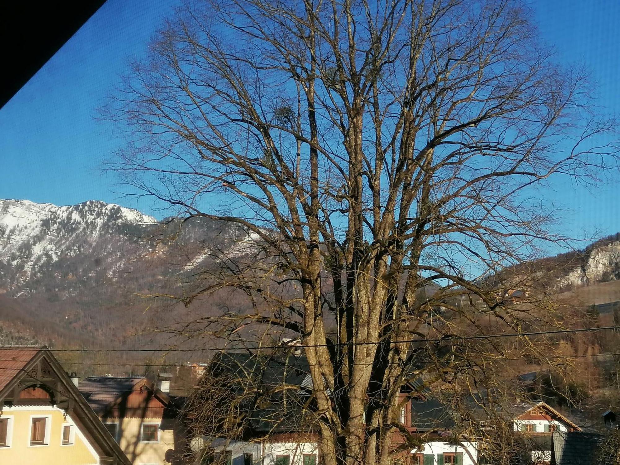 Alpenblumal Bad Goisern Exterior foto